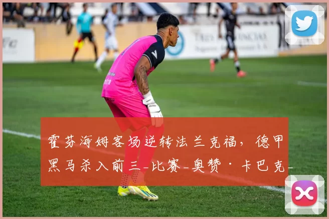 霍芬海姆客场逆转法兰克福，德甲黑马杀入前三_比赛_奥赞·卡巴克_欧冠