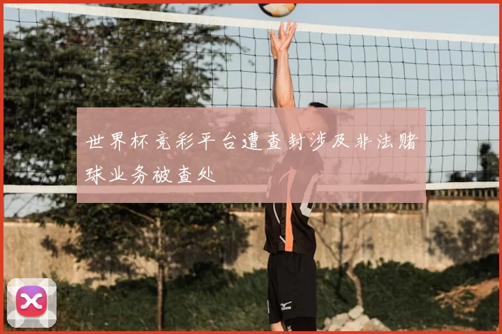 世界杯竞彩平台遭查封涉及非法赌球业务被查处