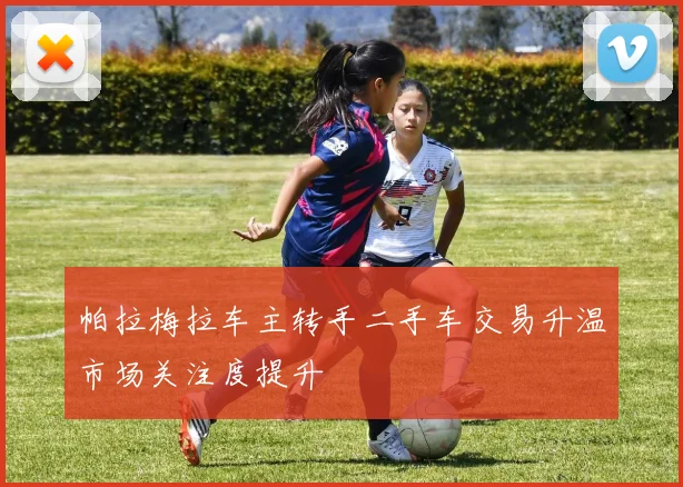 帕拉梅拉车主转手二手车交易升温市场关注度提升