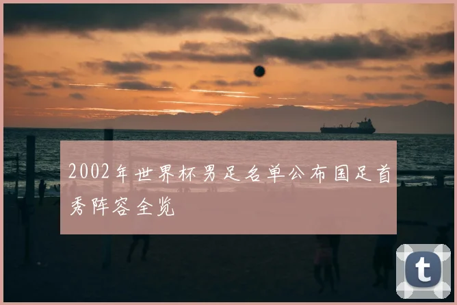 2002年世界杯男足名单公布国足首秀阵容全览