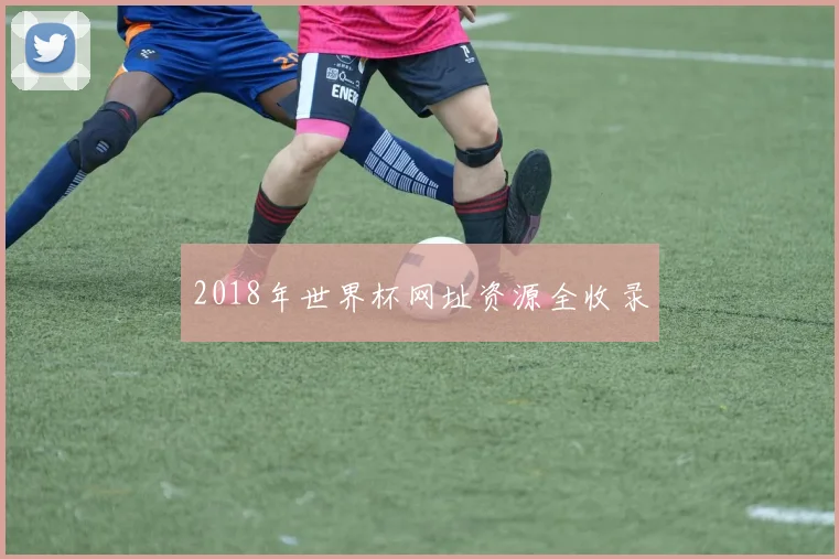 2018年世界杯网址资源全收录