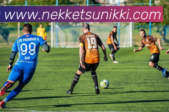 App Interface Preview